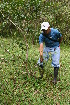  ( - BioBot05035)  @11 [ ] CreativeCommons - Attribution Non-Commercial Share-Alike (2010) Daniel H. Janzen Guanacaste Dry Forest Conservation Fund