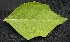  ( - BioBot05036)  @11 [ ] Copyright (2010) Unspecified Unspecified