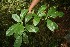  ( - BioBot05067)  @11 [ ] Copyright (2010) Unspecified Unspecified