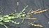  ( - BioBot05073)  @11 [ ] Copyright (2010) Unspecified Unspecified