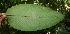  ( - BioBot05088)  @11 [ ] Copyright (2010) Unspecified Unspecified