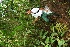  ( - BioBot05094)  @11 [ ] Copyright (2010) Unspecified Unspecified