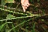  ( - BioBot05094)  @11 [ ] Copyright (2010) Unspecified Unspecified