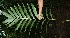  ( - BioBot05094)  @11 [ ] Copyright (2010) Unspecified Unspecified