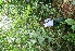  ( - BioBot05100)  @11 [ ] Copyright (2010) Unspecified Unspecified