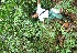  ( - BioBot05101)  @11 [ ] Copyright (2010) Unspecified Unspecified