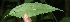 ( - BioBot05101)  @11 [ ] Copyright (2010) Unspecified Unspecified