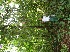  ( - BioBot05102)  @11 [ ] Copyright (2010) Unspecified Unspecified