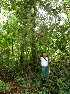  ( - BioBot05102)  @11 [ ] CreativeCommons - Attribution Non-Commercial Share-Alike (2010) Daniel H. Janzen Guanacaste Dry Forest Conservation Fund