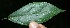  ( - BioBot05102)  @11 [ ] Copyright (2010) Unspecified Unspecified