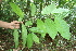  ( - BioBot05129)  @11 [ ] Copyright (2010) Unspecified Unspecified