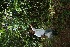  ( - BioBot05132)  @11 [ ] Copyright (2010) Unspecified Unspecified