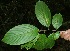  ( - BioBot05132)  @11 [ ] Copyright (2010) Unspecified Unspecified