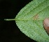  ( - BioBot05132)  @11 [ ] Copyright (2010) Unspecified Unspecified