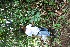  ( - BioBot05133)  @11 [ ] Copyright (2010) Unspecified Unspecified