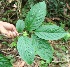  ( - BioBot05133)  @11 [ ] Copyright (2010) Unspecified Unspecified