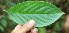  ( - BioBot05133)  @11 [ ] Copyright (2010) Unspecified Unspecified