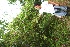  ( - BioBot05135)  @11 [ ] Copyright (2010) Unspecified Unspecified