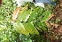  ( - BioBot05152)  @11 [ ] Copyright (2010) Unspecified Unspecified