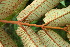  ( - BioBot05152)  @11 [ ] Copyright (2010) Unspecified Unspecified