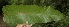  ( - BioBot05152)  @11 [ ] Copyright (2010) Unspecified Unspecified