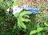  ( - BioBot05153)  @11 [ ] Copyright (2010) Unspecified Unspecified