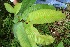  ( - BioBot05153)  @11 [ ] Copyright (2010) Unspecified Unspecified
