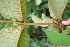  ( - BioBot05153)  @11 [ ] Copyright (2010) Unspecified Unspecified