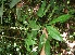  ( - BioBot05171)  @11 [ ] Copyright (2010) Unspecified Unspecified