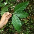  ( - BioBot05171)  @11 [ ] Copyright (2010) Unspecified Unspecified