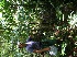  ( - BioBot05177)  @11 [ ] Copyright (2010) Unspecified Unspecified