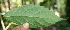 ( - BioBot05177)  @11 [ ] Copyright (2010) Unspecified Unspecified