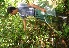  ( - BioBot05178)  @11 [ ] Copyright (2010) Unspecified Unspecified