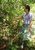  ( - BioBot05178)  @11 [ ] CreativeCommons - Attribution Non-Commercial Share-Alike (2010) Daniel H. Janzen Guanacaste Dry Forest Conservation Fund