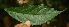  ( - BioBot05178)  @11 [ ] Copyright (2010) Unspecified Unspecified
