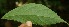 ( - BioBot05178)  @11 [ ] Copyright (2010) Unspecified Unspecified