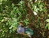  ( - BioBot05179)  @11 [ ] Copyright (2010) Unspecified Unspecified