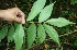  ( - BioBot05179)  @11 [ ] Copyright (2010) Unspecified Unspecified