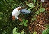  ( - BioBot05194)  @11 [ ] Copyright (2010) Unspecified Unspecified