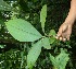  ( - BioBot05194)  @11 [ ] Copyright (2010) Unspecified Unspecified