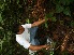  ( - BioBot05195)  @11 [ ] Copyright (2010) Unspecified Unspecified