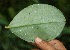  ( - BioBot05195)  @11 [ ] Copyright (2010) Unspecified Unspecified
