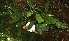  ( - BioBot05223)  @11 [ ] Copyright (2010) Unspecified Unspecified