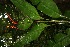  ( - BioBot05223)  @11 [ ] Copyright (2010) Unspecified Unspecified