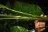  ( - BioBot05223)  @11 [ ] Copyright (2010) Unspecified Unspecified