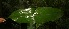  ( - BioBot05223)  @11 [ ] Copyright (2010) Unspecified Unspecified