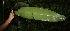  ( - BioBot05223)  @11 [ ] Copyright (2010) Unspecified Unspecified