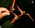  ( - BioBot05223)  @11 [ ] Copyright (2010) Unspecified Unspecified