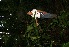  ( - BioBot05224)  @11 [ ] Copyright (2010) Unspecified Unspecified