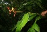  ( - BioBot05224)  @11 [ ] Copyright (2010) Unspecified Unspecified